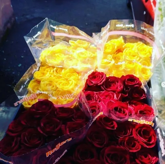Rosas