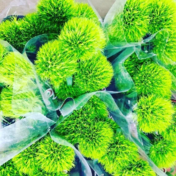 Green Trick