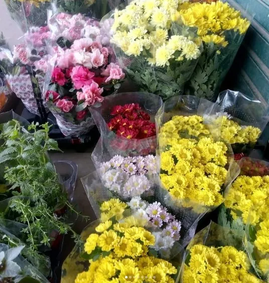 Flores e variedades da Estação das Flores